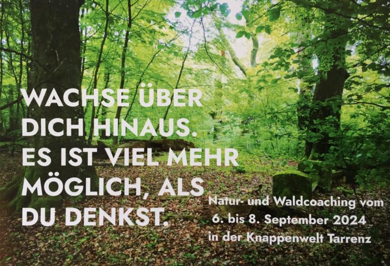 Naturseminar Knappenwelt - Der Wald als Inspirations und Gesundheitsquelle